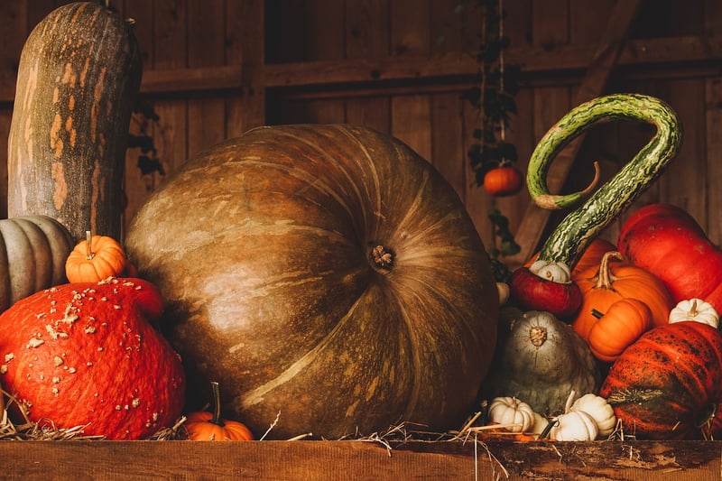 Harvest Blessings